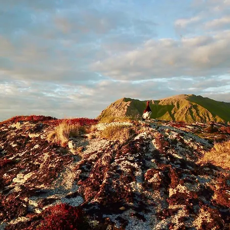 Lofoten Bay View Bostad