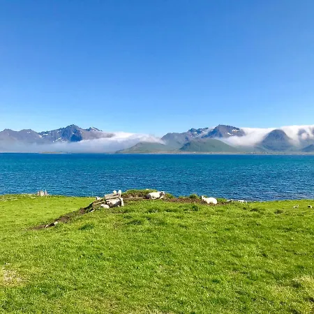 Lofoten Bay View *
