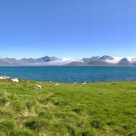 Lofoten Bay View Prázdninový dům *