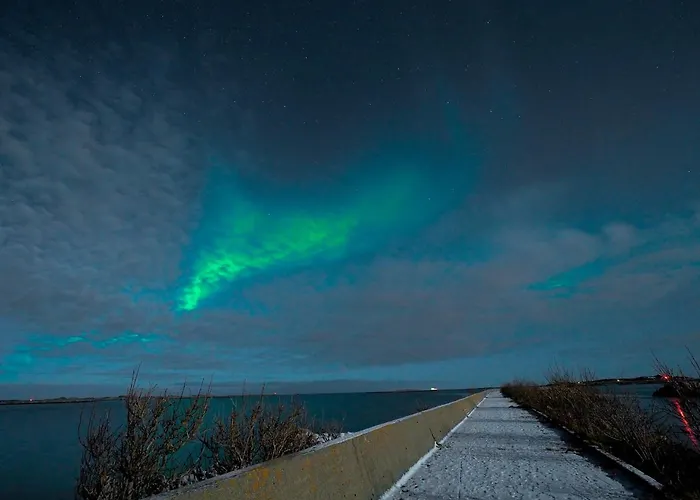Lofoten Bay View Bostad