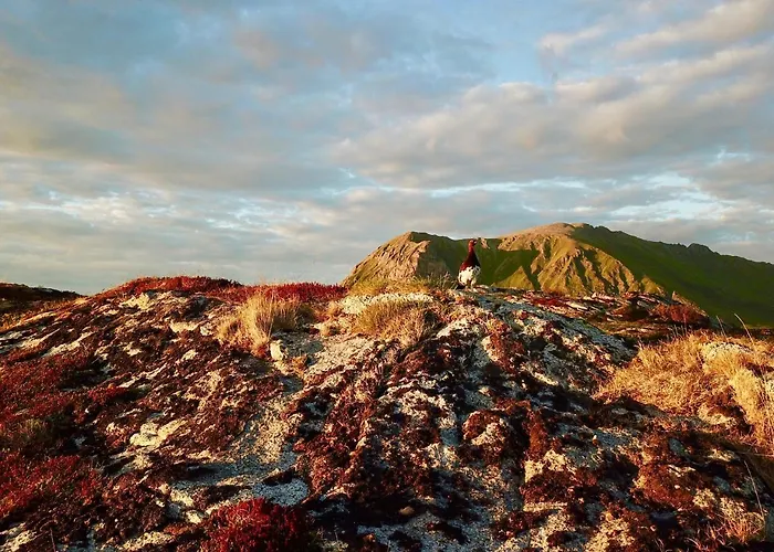 Lofoten Bay View Bostad