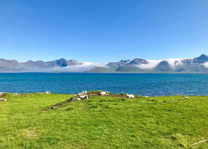 Lofoten Bay View *