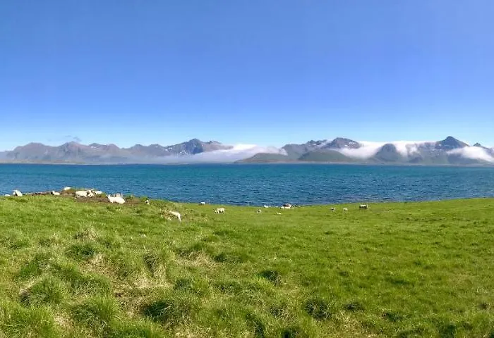 Lofoten Bay View Сasa de vacaciones *